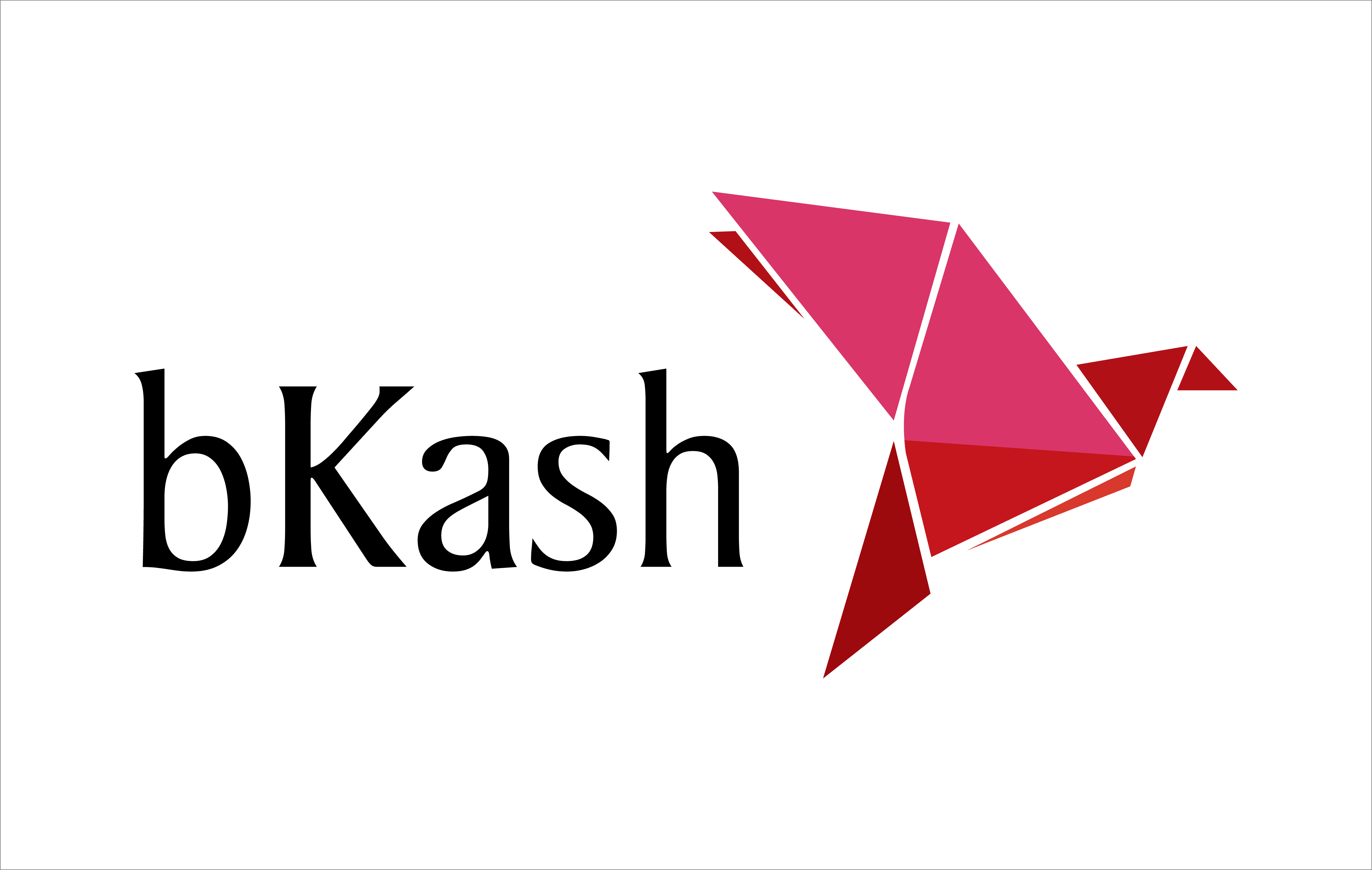 bKash Logo